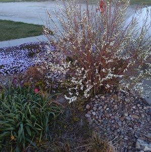 Meet your Posher, Larissa